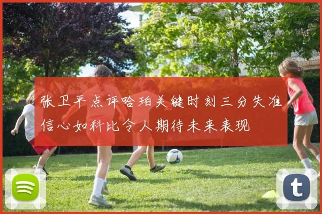 张卫平点评哈珀关键时刻三分失准信心如科比令人期待未来表现