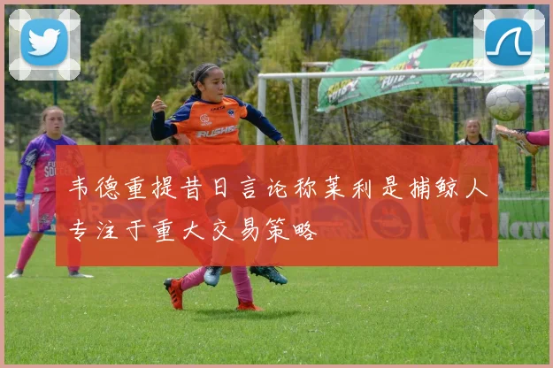 韦德重提昔日言论称莱利是捕鲸人专注于重大交易策略